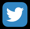 Twitter-Logo copia